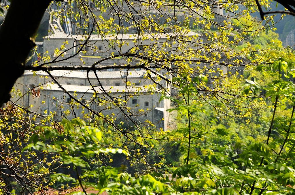 نزل باردفي Casa Ciuca المظهر الخارجي الصورة